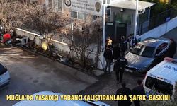 Muğla’da yasadışı yabancı çalıştıranlara 'şafak' baskını
