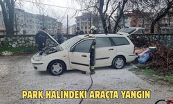 Park halindeki araçta yangın