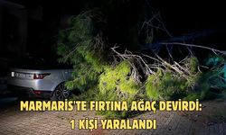 Marmaris'te fırtına ağaç devirdi: 1 kişi yaralandı