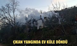 Çıkan yangında ev küle döndü