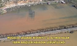 Muğla'da sağanak nedeniyle su altında kalan tarım arazileri havadan görüntülendi