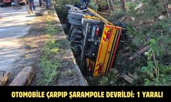 Otomobile çarpıp şarampole devrildi: 1 yaralı