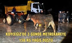 Köyceğiz’de 3 günde metrekareye 158 kg yağış düştü