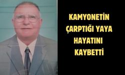 Kamyonetin çarptığı yaya hayatını kaybetti