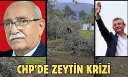 Chp’de zeytin krizi