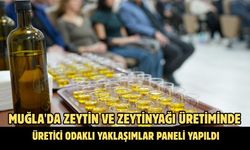 Muğla'da Zeytin Ve Zeytinyağı Üretiminde Üretici Odaklı Yaklaşımlar paneli yapıldı