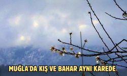 Muğla'da kış ve bahar aynı karede