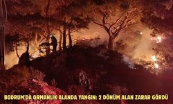 Bodrum'da ormanlık alanda yangın: 2 dönüm alan zarar gördü