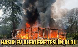 Hasır ev alevlere teslim oldu