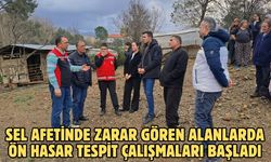 Sel afetinde zarar gören alanlarda ön hasar tespit çalışmaları başladı
