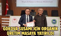 Gökova susamı için organik üretim masaya yatırıldı