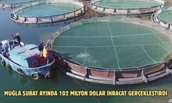 Muğla şubat ayında 102 milyon dolar ihracat gerçekleştirdi