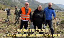 Marmaris'te otelciler yanan orman alanlarına fidan dikti