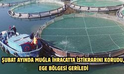 Şubat ayında Muğla ihracatta İstikrarını korudu, Ege Bölgesi geriledi