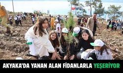 Akyaka’da yanan alan fidanlarla yeşeriyor