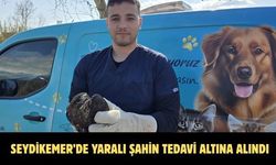 Seydikemer’de yaralı şahin tedavi altına alındı