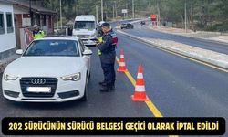 202 sürücünün sürücü belgesi geçici olarak iptal edildi