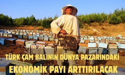 Türk çam balının dünya pazarındaki ekonomik payı arttırılacak