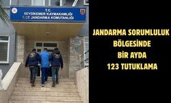 Jandarma sorumluluk bölgesinde bir ayda 123 tutuklama