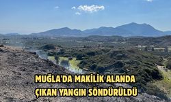 Muğla'da makilik alanda çıkan yangın söndürüldü