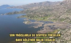 Son yağışlarla su seviyesi yükselen Bafa Gölü'nde balık çoğaldı
