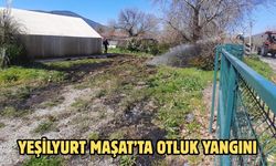 Yeşilyurt Maşat’ta otluk yangını