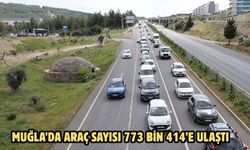 Muğla’da araç sayısı 773 bin 414’e ulaştı