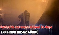 Fethiye'de marangoz atölyesi ile depo yangında hasar gördü