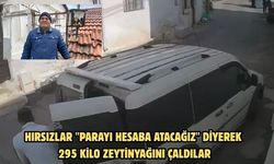 Hırsızlar "Parayı hesaba atacağız" diyerek 295 kilo zeytinyağını çaldılar