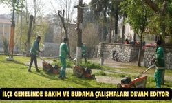 İLÇE GENELİNDE BAKIM VE BUDAMA ÇALIŞMALARI DEVAM EDİYOR
