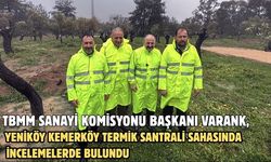 TBMM Sanayi Komisyonu Başkanı Varank, Yeniköy Kemerköy Termik Santrali sahasında incelemelerde bulundu