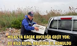 Milas’ta kaçak avcılığa geçit yok: 80 kilo kefal balığına el konuldu