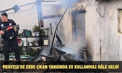 Menteşe'de evde çıkan yangında ev kullanmaz hale geldi