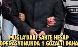 Muğla'daki sahte hesap operasyonunda 1 gözaltı daha