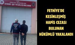 Fethiye'de kesinleşmiş hapis cezası bulunan hükümlü yakalandı