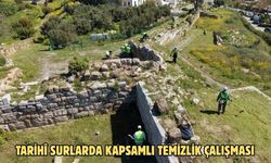 Tarihi surlarda kapsamlı temizlik çalışması