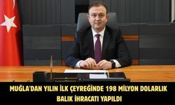 Muğla'dan yılın ilk çeyreğinde 198 milyon dolarlık balık ihracatı yapıldı
