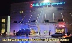 Balık firmasında amonyak zehirlenmesi: 14 kişi hastaneye kaldırıldı