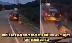 Muğla'da eşeği araca bağlayıp sürükleyen 2 kişiye para cezası verildi