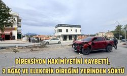 Direksiyon hakimiyetini kaybetti, 2 ağaç ve elektrik direğini yerinden söktü