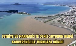 Fethiye ve Marmaris'te deniz suyunun rengi kahverengi ile turkuaza döndü