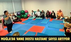 Muğla'da ‘Anne Dostu Hastane' sayısı artıyor