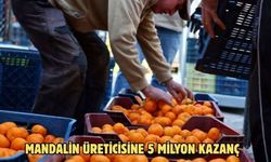 MANDALİN ÜRETİCİSİNE 5 MİLYON KAZANÇ