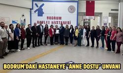 Bodrum'daki hastaneye "anne dostu" unvanı