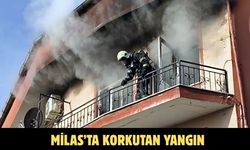 Milas’ta korkutan yangın
