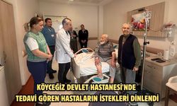 Köyceğiz Devlet Hastanesi'nde tedavi gören hastaların istekleri dinlendi