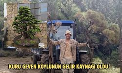 Kuru Geven köylünün gelir kaynağı oldu