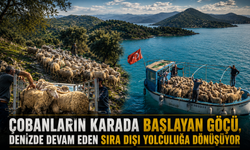 Çobanların karada başlayan göçü, denizde devam eden sıra dışı yolculuğa dönüşüyor