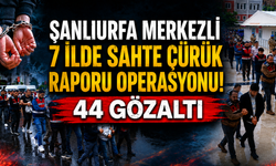 Şanlıurfa merkezli 7 ilde sahte çürük raporu operasyonu: 44 gözaltı