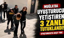Muğla'da uyuşturucu yetiştiren 3 zanlı tutuklandı